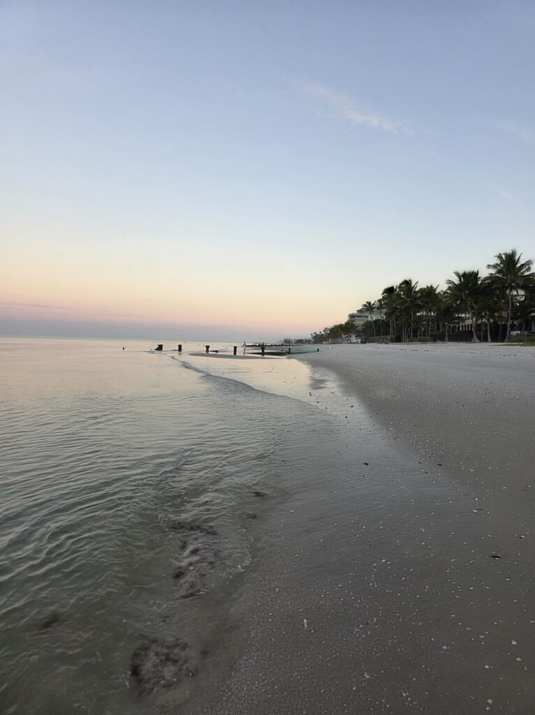 Serene beach at sunrise with palm trees